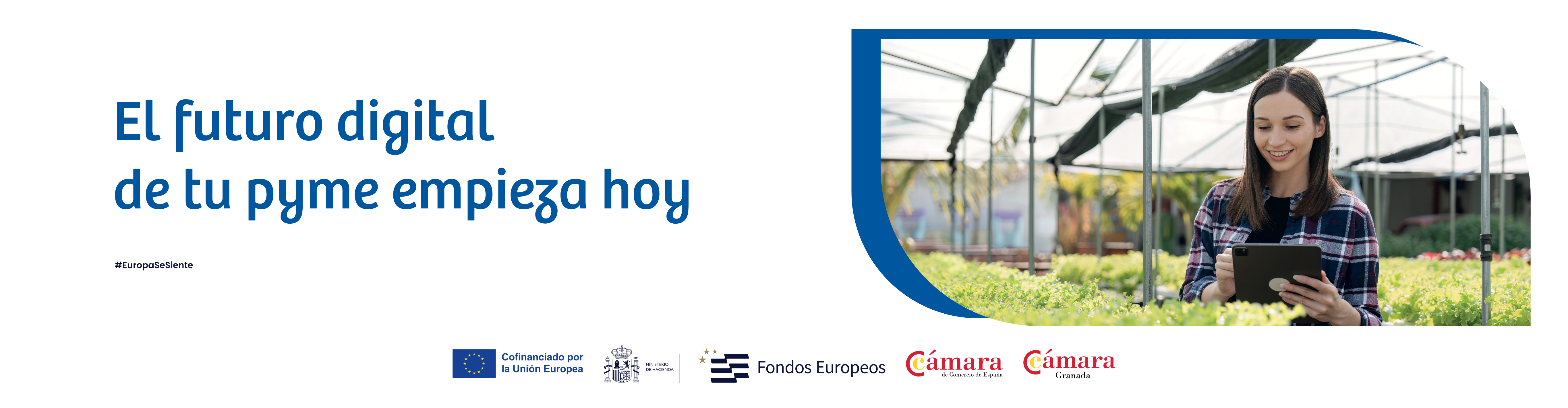 Acelera la transformación digital de tu PYME